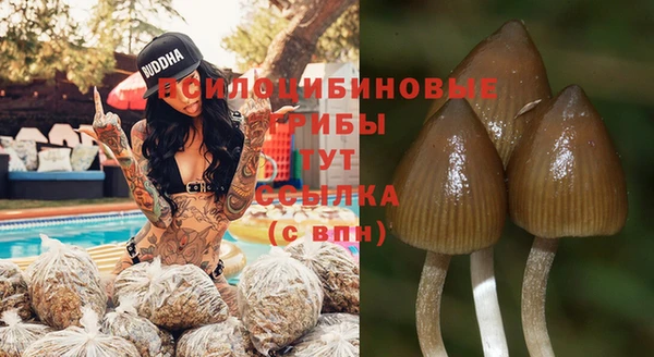 винт Сим