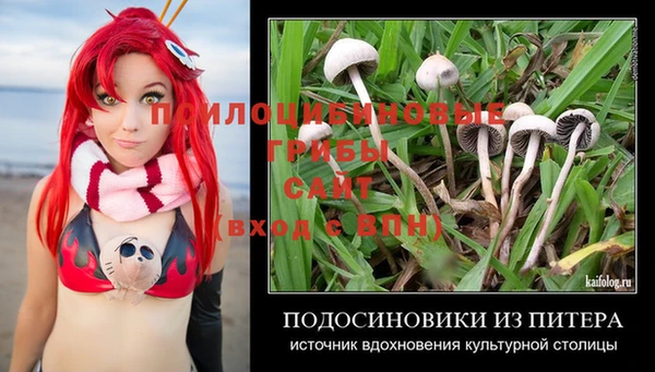 mdpv Осинники
