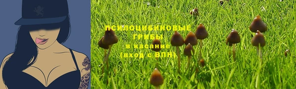 mdpv Осинники