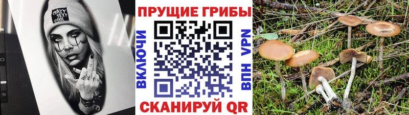 гидра   Новое Девяткино  Псилоцибиновые грибы GOLDEN TEACHER 